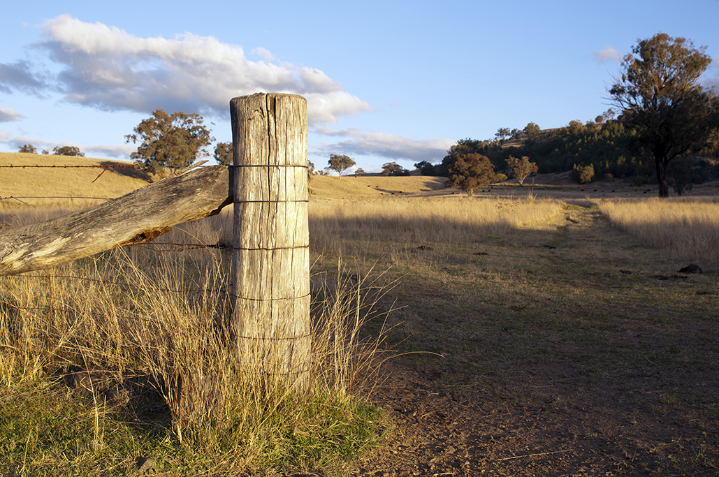 Buying a block of Vacant Land